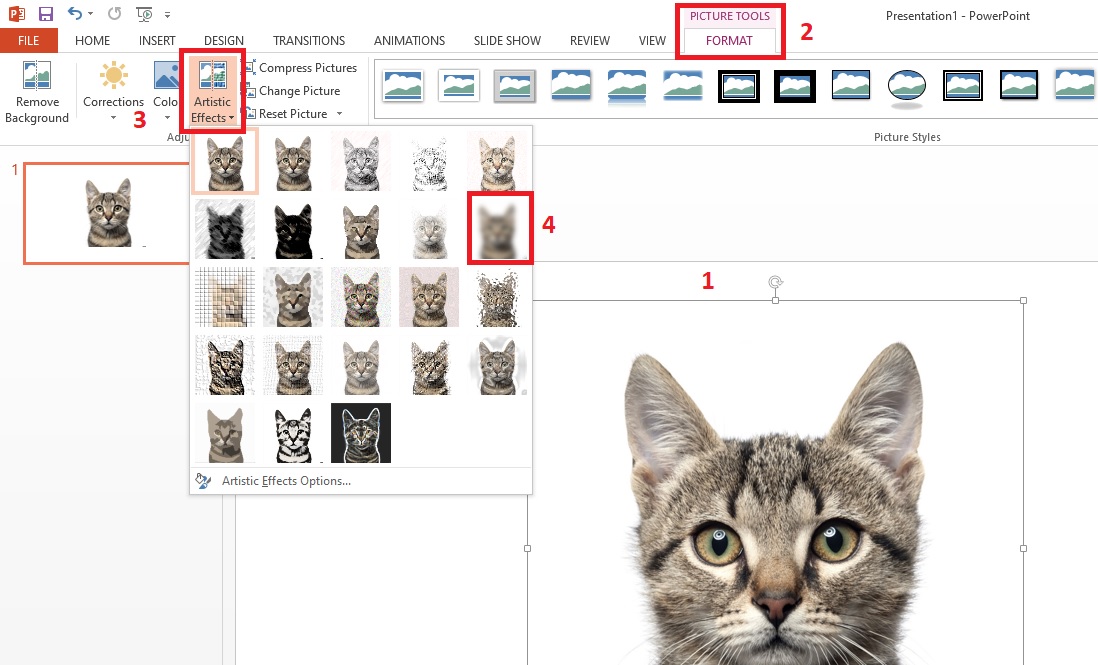 How to Blur Image in Microsoft PowerPoint? Techglimpse
