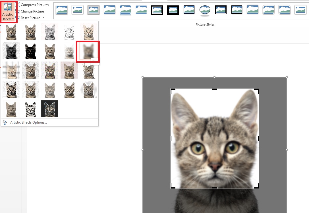 How to Blur Image in Microsoft PowerPoint? Techglimpse