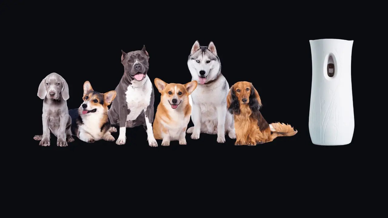 Uses of an Air Freshener Camera For Pets monitoring Techiecycle