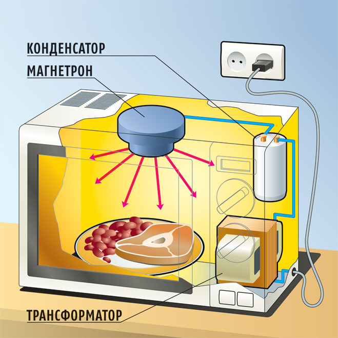 El principio de funcionamiento y la estructura interna del horno