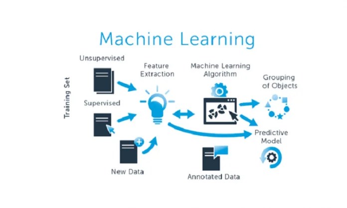 11 Most Common Machine Learning Algorithms Explained in a.