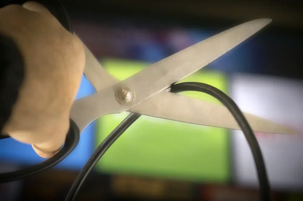 Is Roku Better Than Cable? (Beginner Facts)