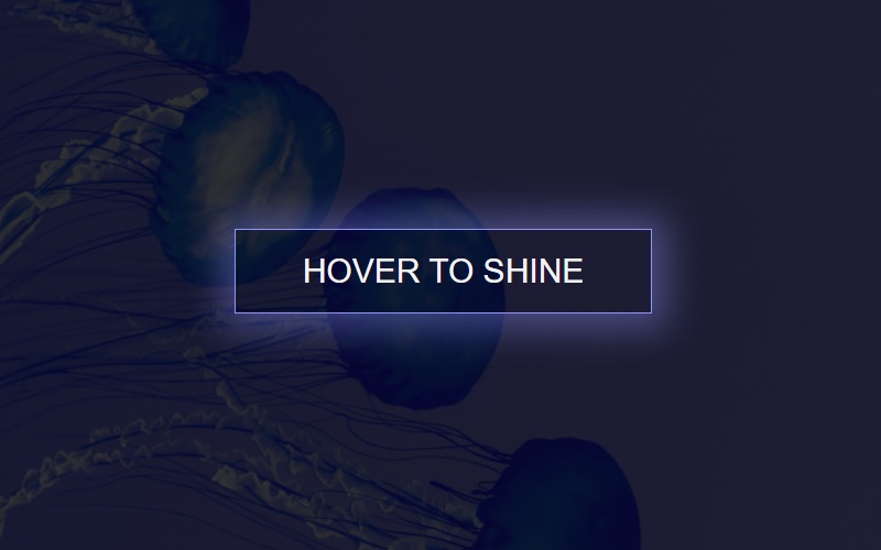 11 Best Free CSS Ghost Buttons In 2024