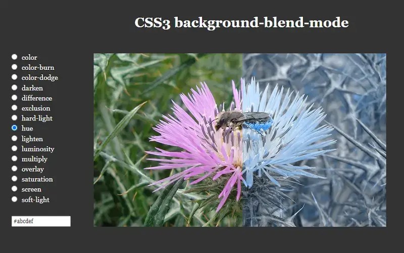 9 Best Free CSS BackgroundBlendMode Examples In 2024