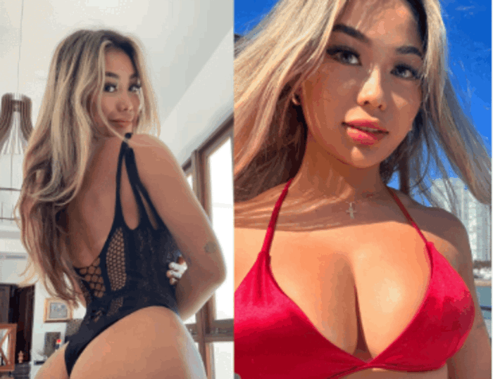 Who is Vietbunny? Bio, Age, Career, Boyfriend, Twitch & Onlyfans