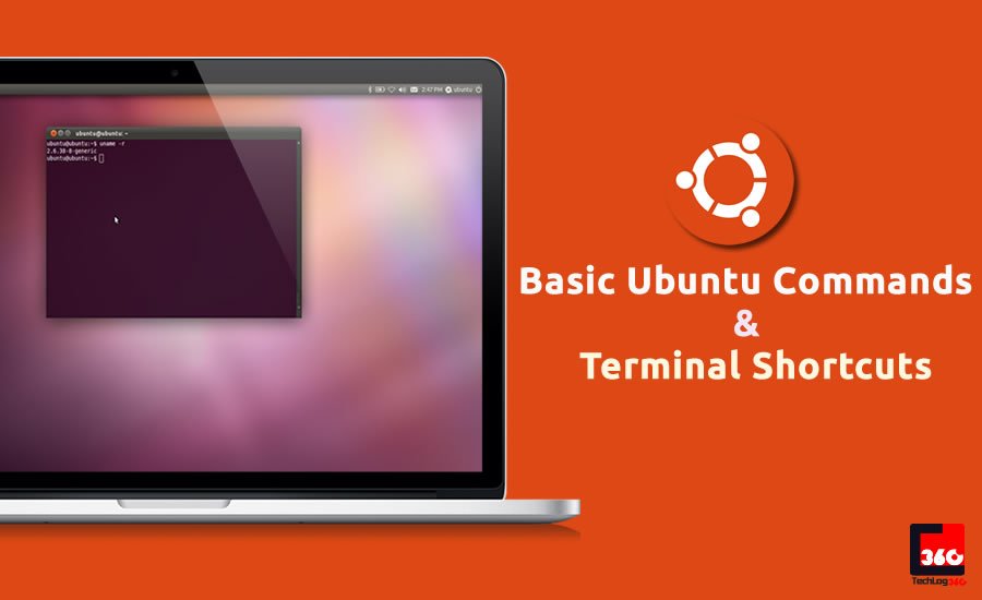 Basic Ubuntu commands and Terminal shortcuts every beginner must know
