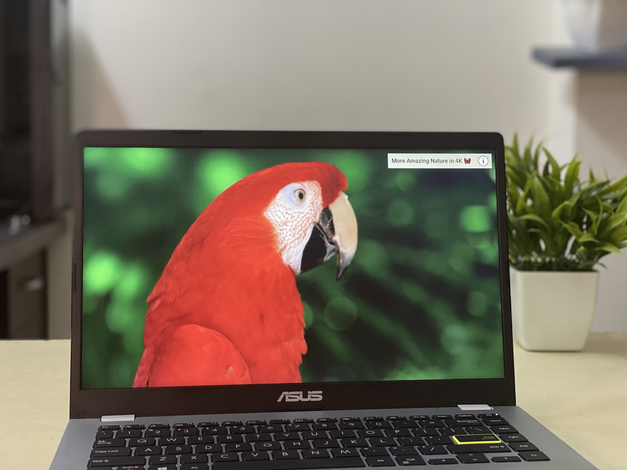 Asus E410M Review Impressive entrylevel laptop for students