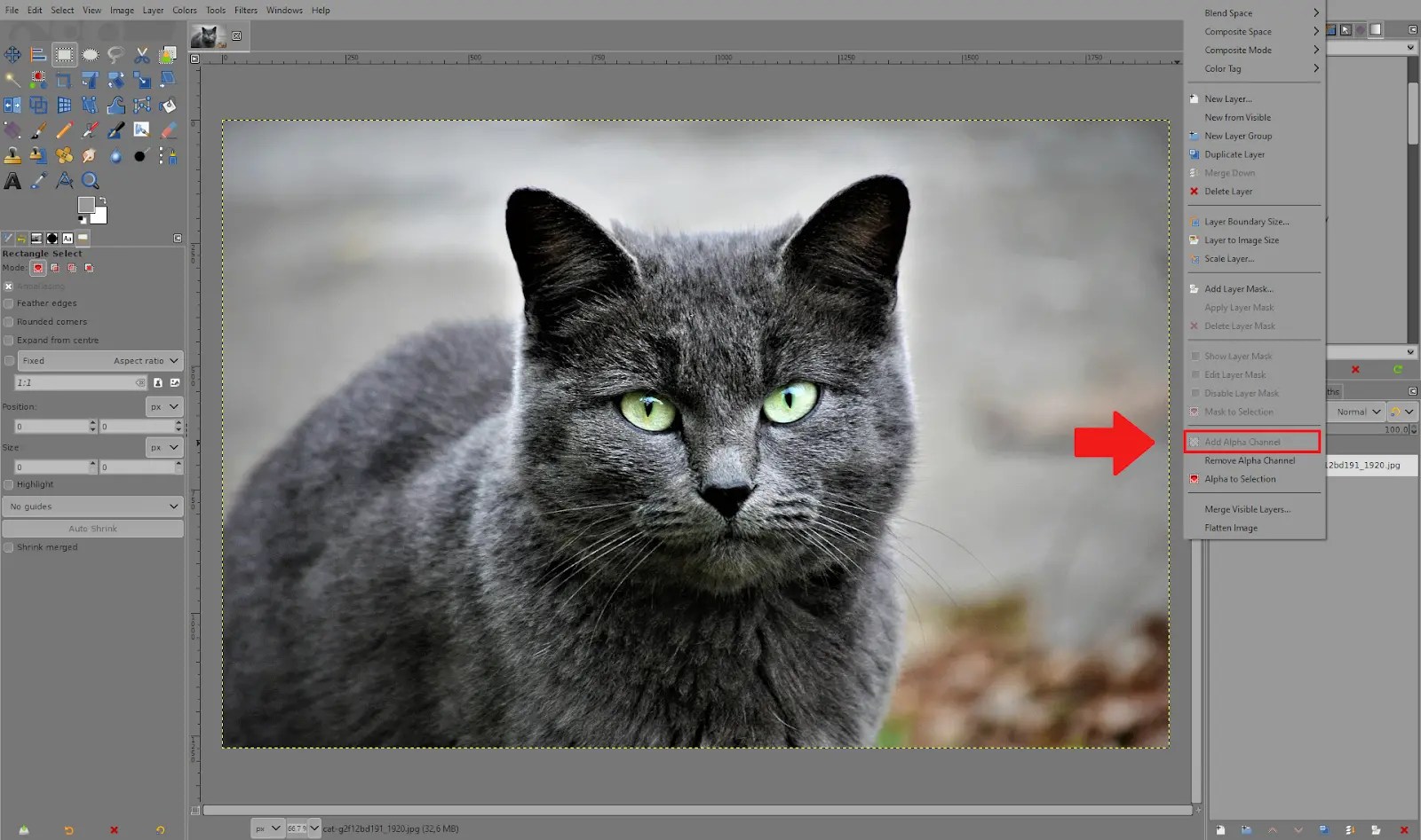 How to Make Background Transparent in GIMP Tech Lounge