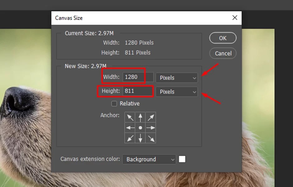 How to Change Canvas Size in Tech Lounge