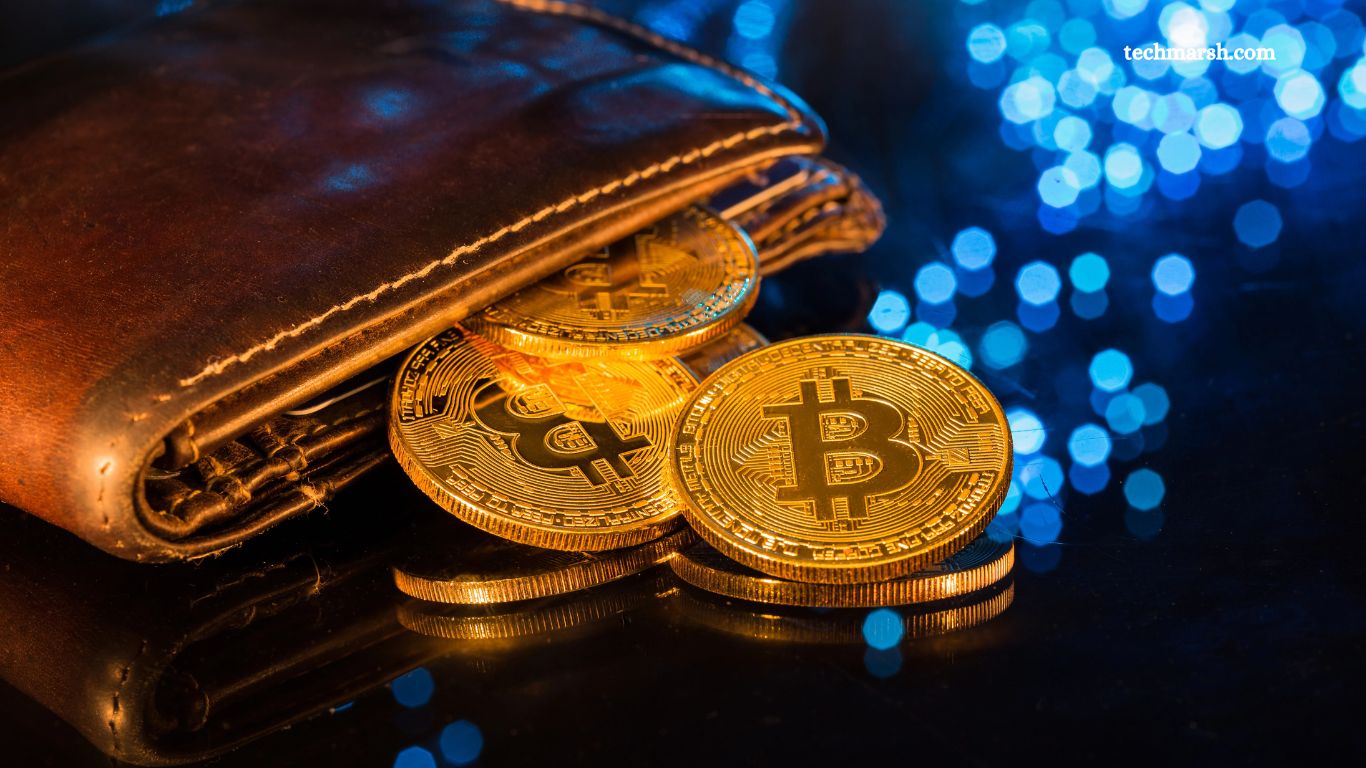 Wallet Complete Guide Techmarsh