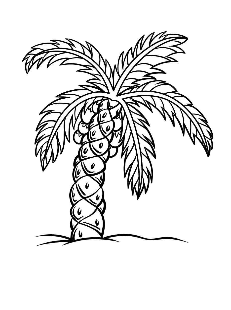 Palm Tree Coloring Pages