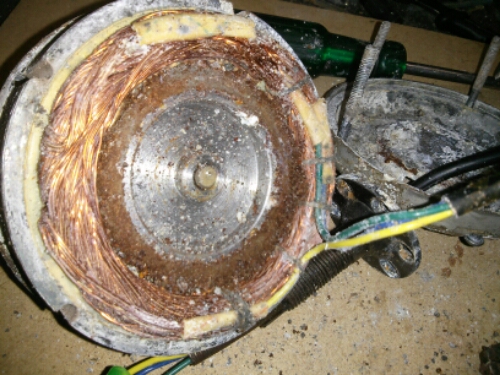 wp-1398098908330 image