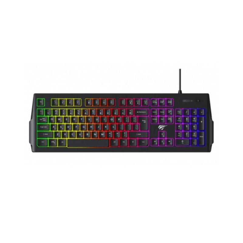 HAVIT GAMING KEYBOARD KB866L - Tech Mine