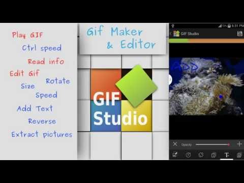 10 Best Gif Maker Apps For Android Ios Windows Techmused