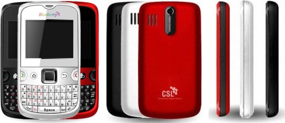 cslblueberry5300tfull.jpg