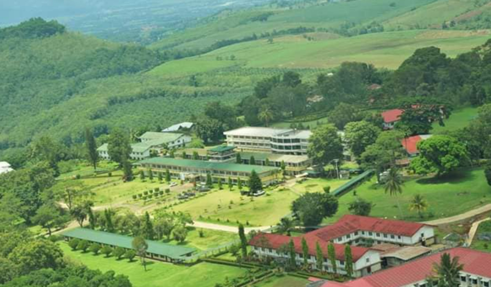 Mountain View College Review