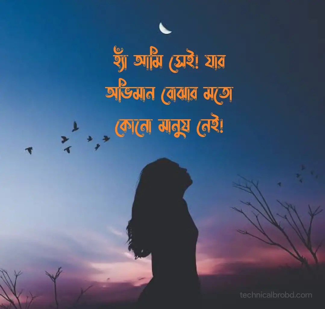 399+ BEST Sad Caption Bangla দুঃখের ক্যাপশন বাংলা » Technical Bro BD