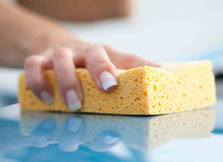 PVA Foam Manufacturer & Converter Technical Foam Services