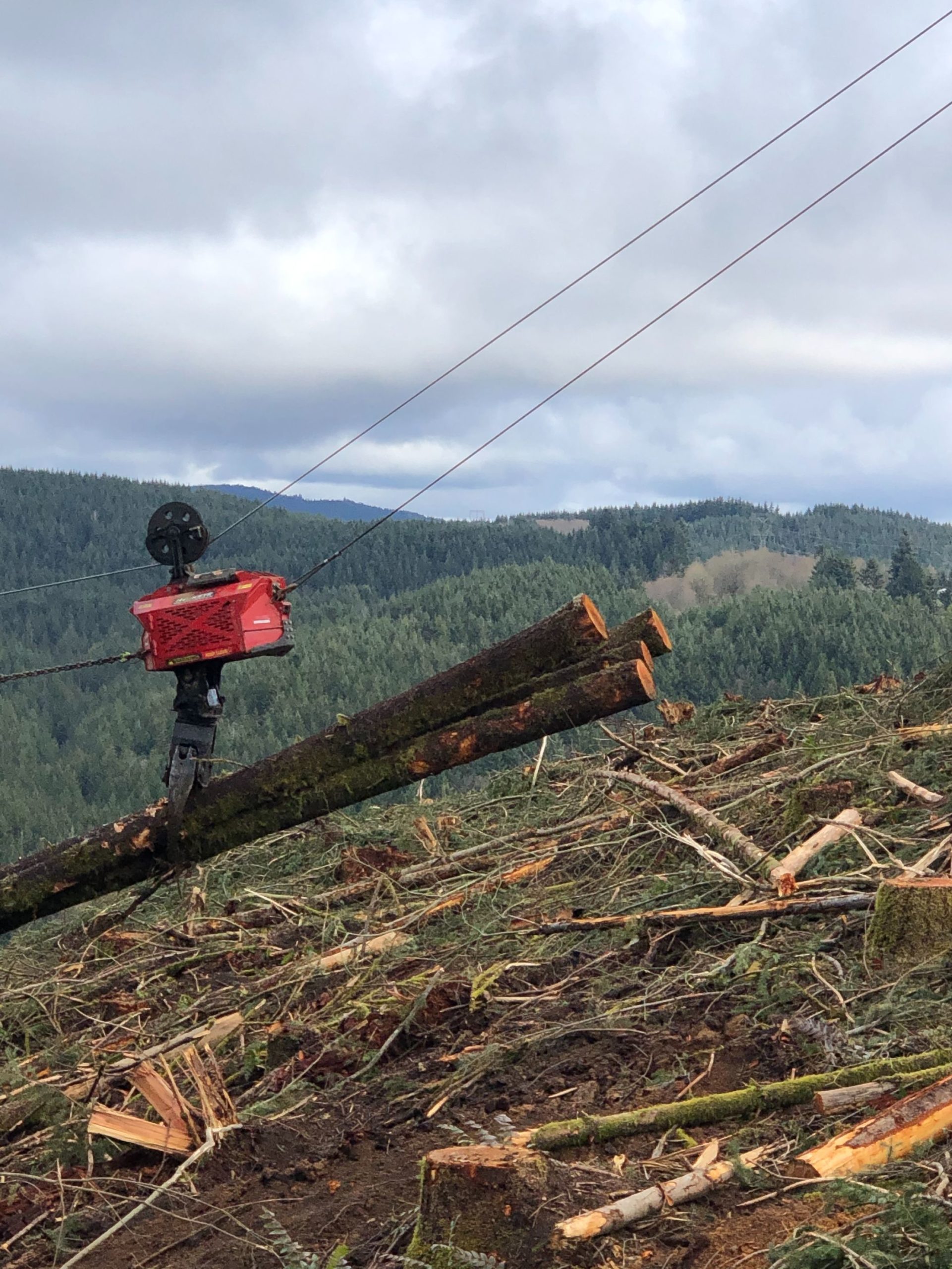 Hawkeye Technical Forest Solutions