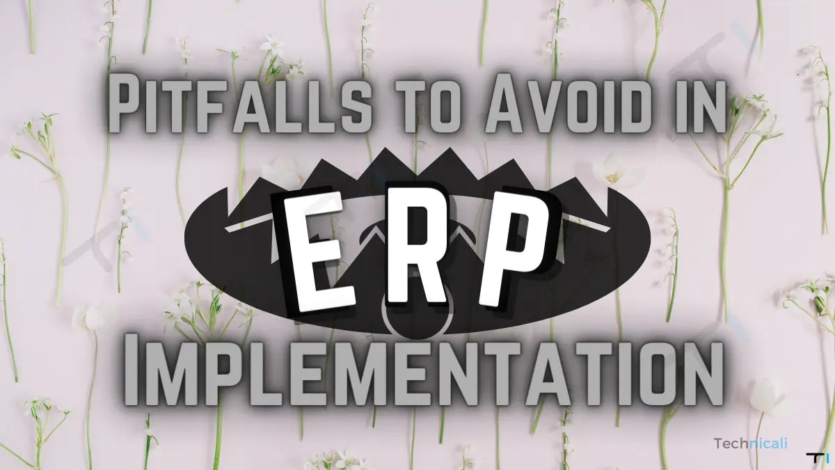 9 Common Pitfalls When Implementing ERP Systems Technicali Various(03)