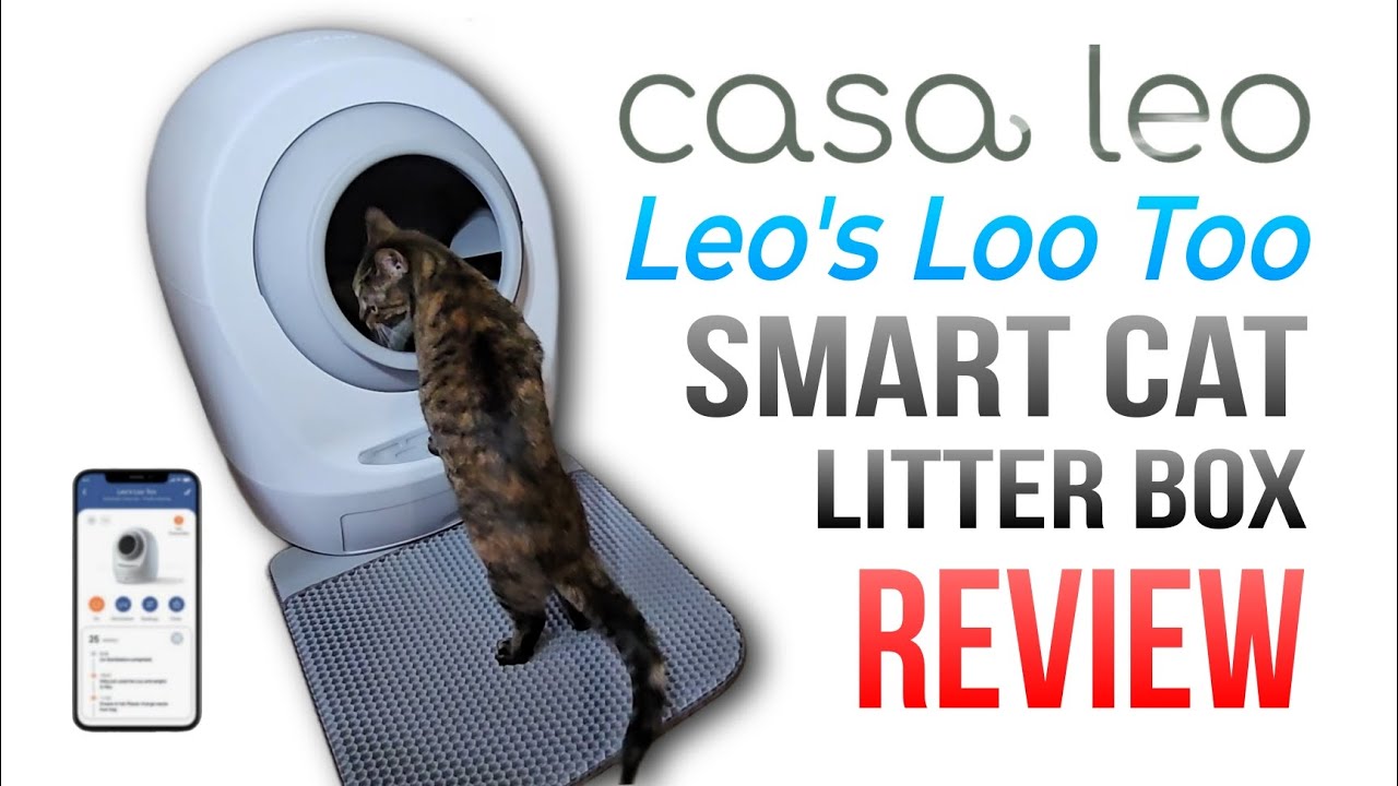 FANTASTIC Smart Cat Litter Box Casa Leo “Leo’s Loo Too” Review Technically Jeff