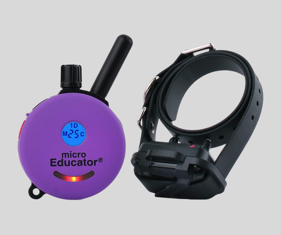 Best Walkie Talkie Dog Collar (October 2022)