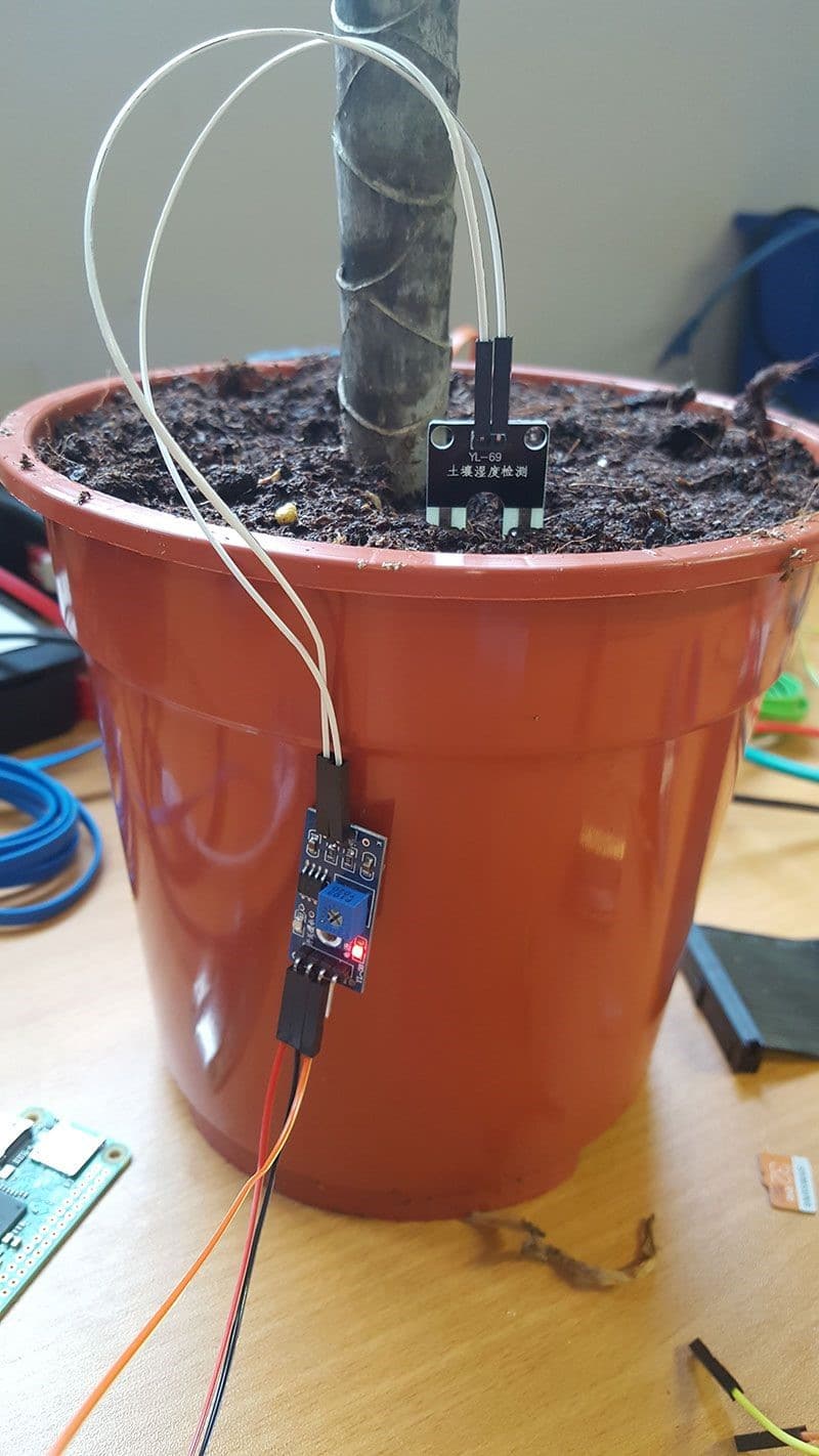 Raspberry Pi Garden