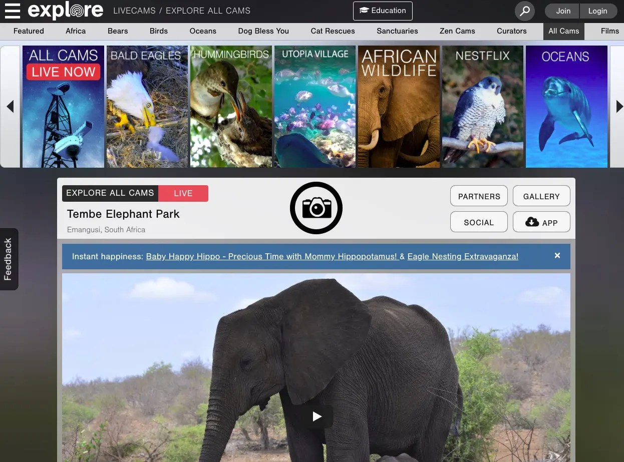 9 Best Platforms To Watch Nature Live Streams Reviewed 👌