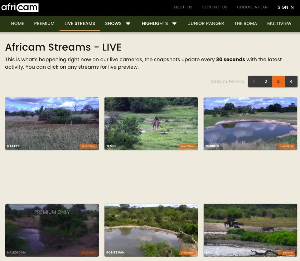 9 Best Platforms To Watch Nature Live Streams Reviewed 👌