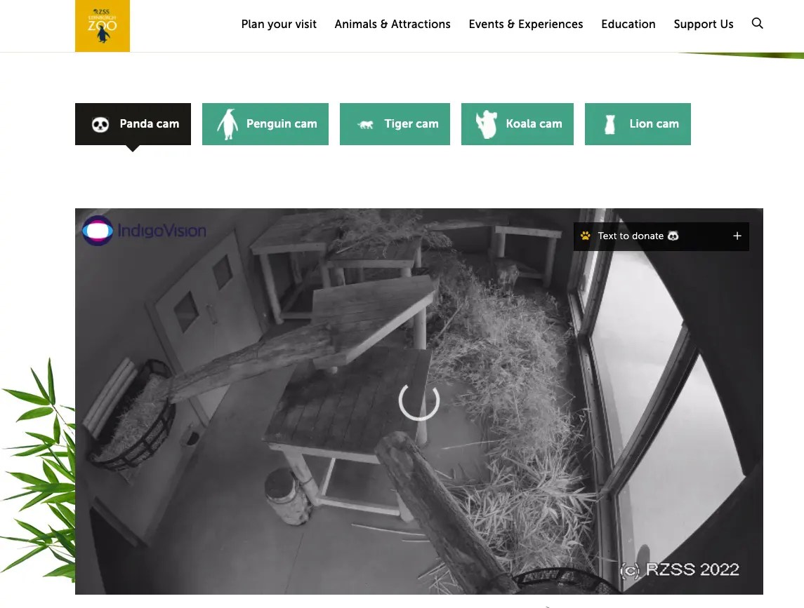 9 Best Platforms To Watch Nature Live Streams Reviewed 👌