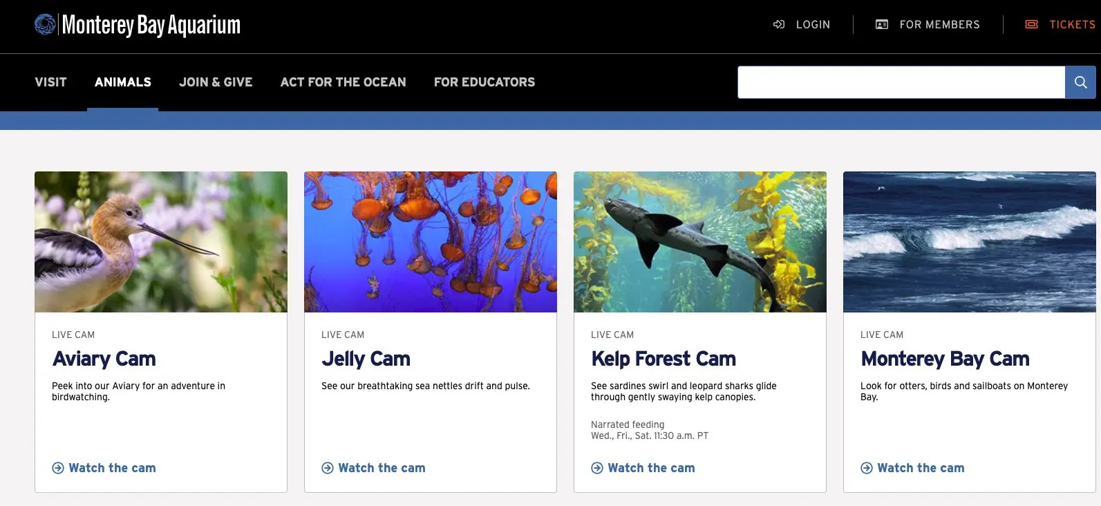 9 Best Platforms To Watch Nature Live Streams Reviewed 👌