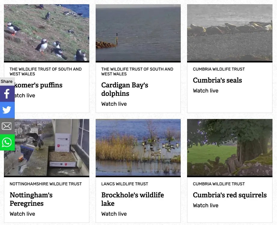 9 Best Platforms To Watch Nature Live Streams Reviewed 👌
