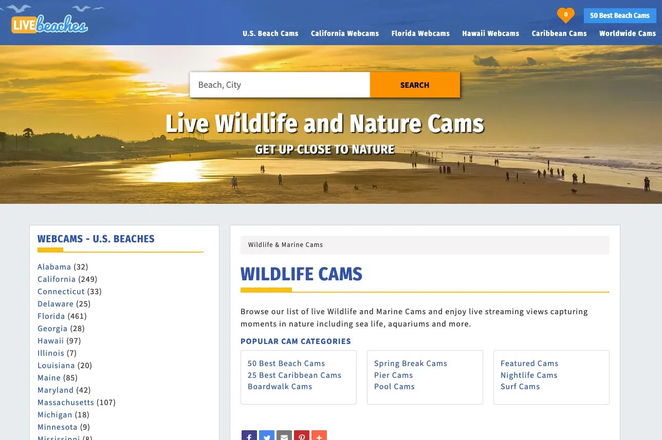 9 Best Platforms To Watch Nature Live Streams Reviewed 👌