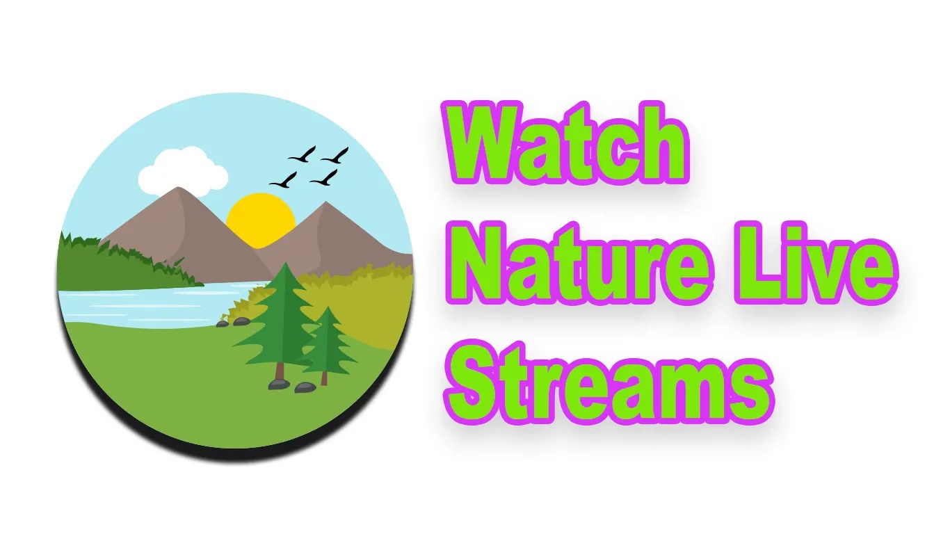 9 Best Platforms To Watch Nature Live Streams Reviewed 👌