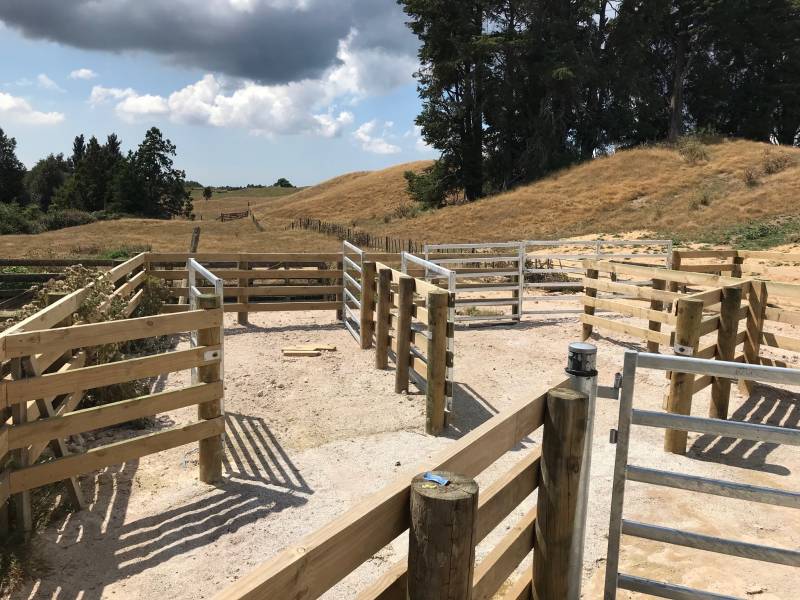 Cattle Yards SmartYards(tm) Beef TechniPharm