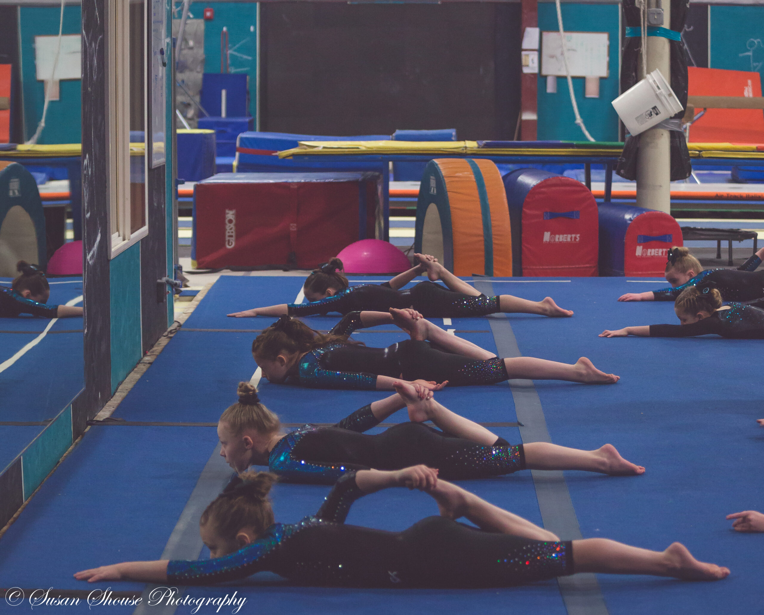 U Of Mn Gymnastics Schedule 2024 Competitive News and Meet Schedules Technique Gymnastics