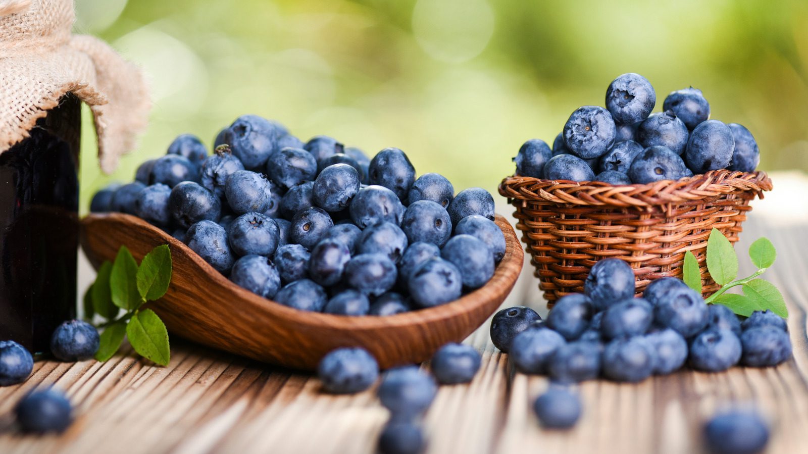 Blueberries Uses, Advantages, and Incidental Effects