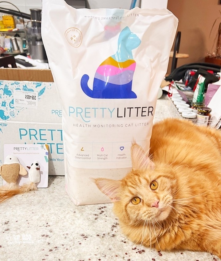 Pretty Litter Review A Deep Dive into Its Health Monitoring Features Techno Analyzer