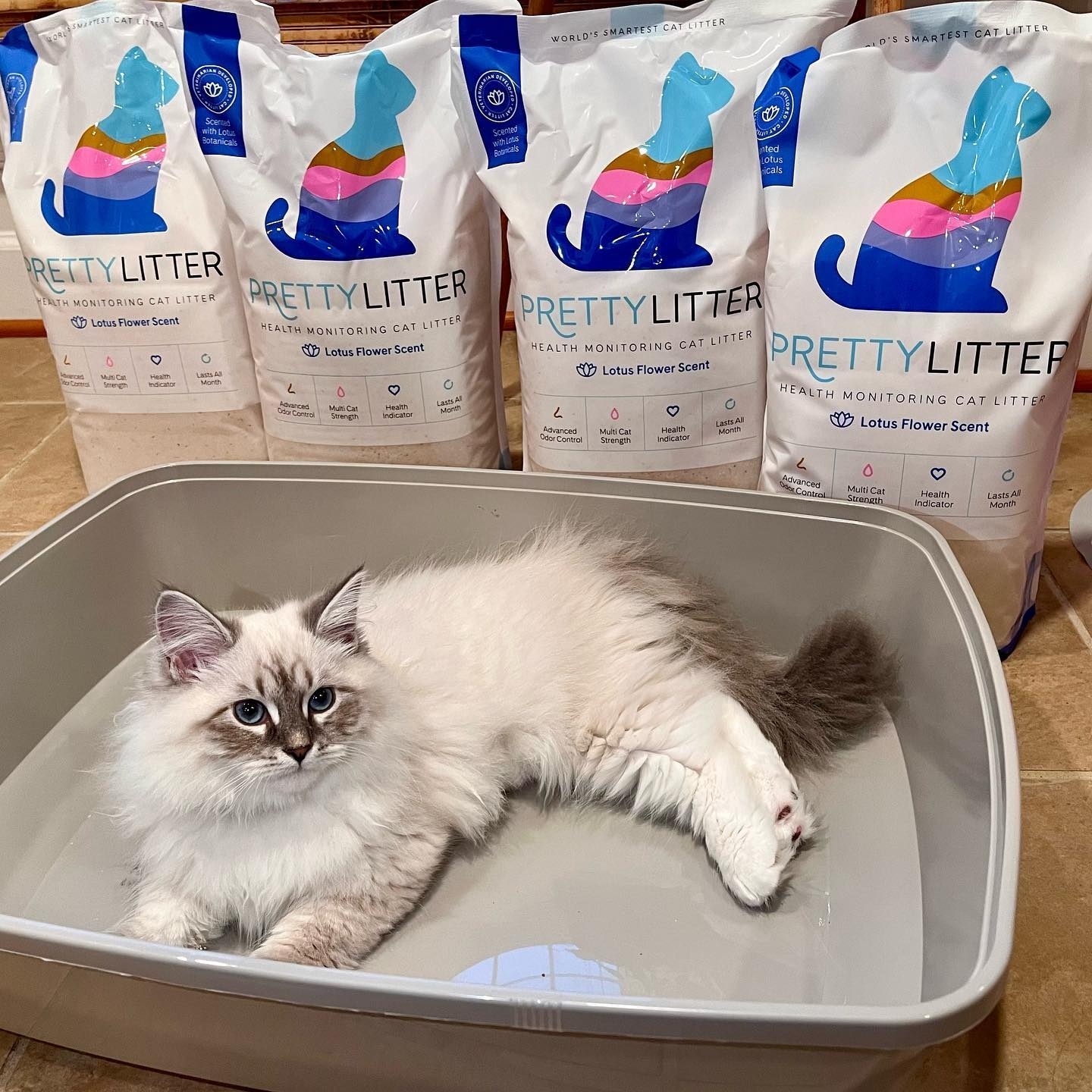 Pretty Litter Review A Deep Dive into Its Health Monitoring Features