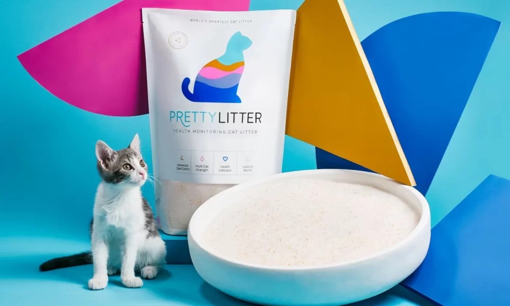 Pretty Litter Review A Deep Dive into Its Health Monitoring Features