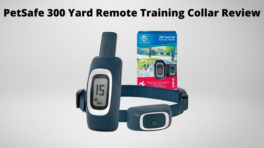 PetSafe 300 Yard Dog Remote Trainer Blue