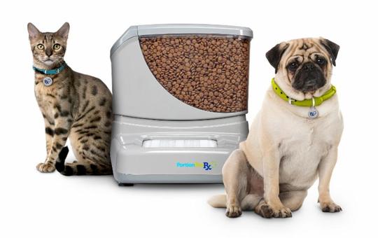 The Portionpro RX Feeder Big Review: A Real Game Changer in 2021