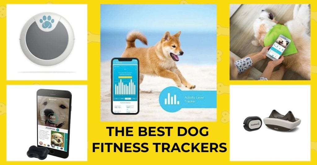 9 Best Dog Fitbits & Activity Monitors in 2023 Technobark