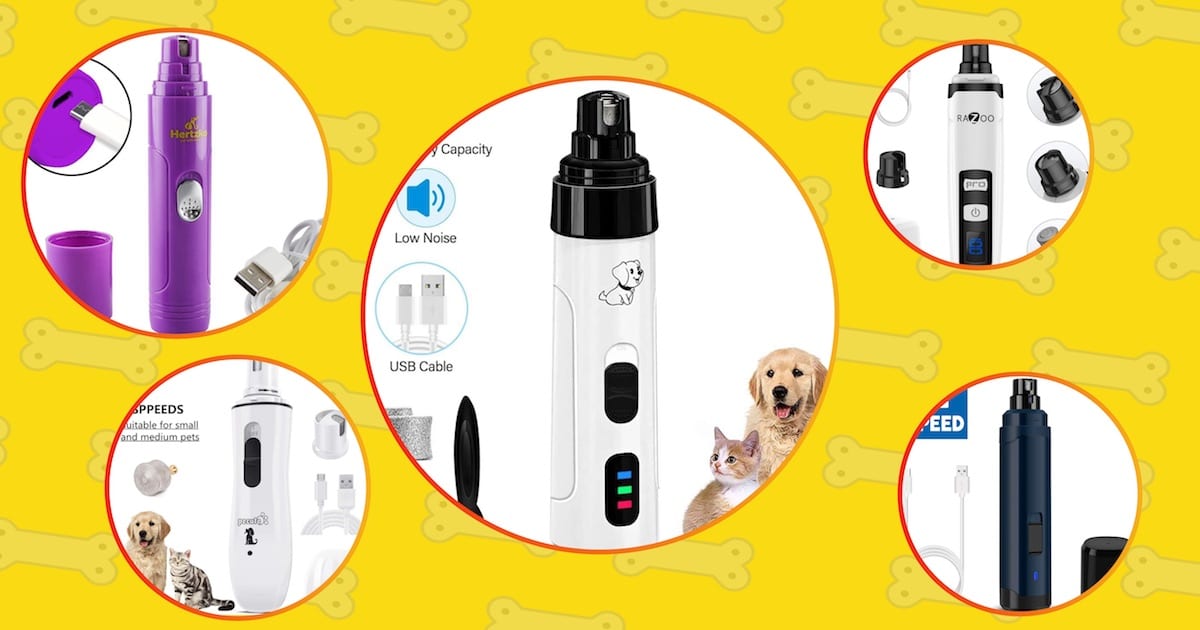8 Best Electric Dog Nail Trimmers, Clippers & Grinders in 2021