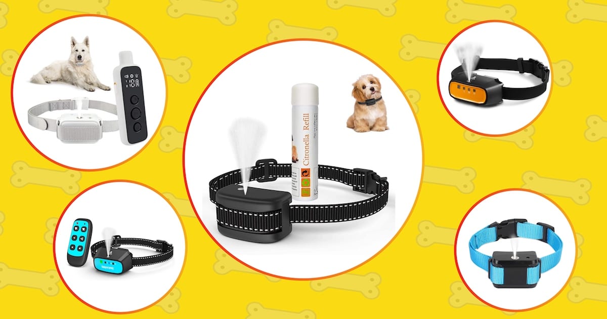 6 Citronella Bark Collars For Dogs That WORK in 2023 Technobark