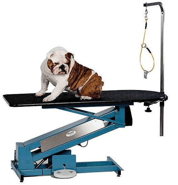 6 Best Electric Dog Grooming Tables in 2021 Technobark