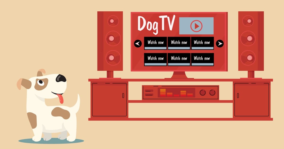 DogTV Review Does It Worth Paying 9.99/mo? Technobark