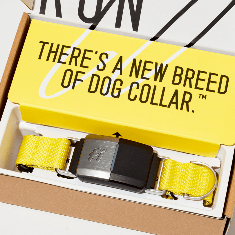 TOP5 No Monthly Fee Dog GPS Collars in 2023 Technobark