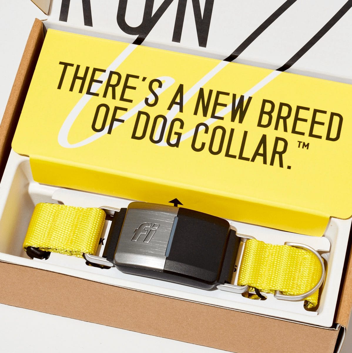Fi Dog Collar Review 149 For What Is It Scam OR Innovation