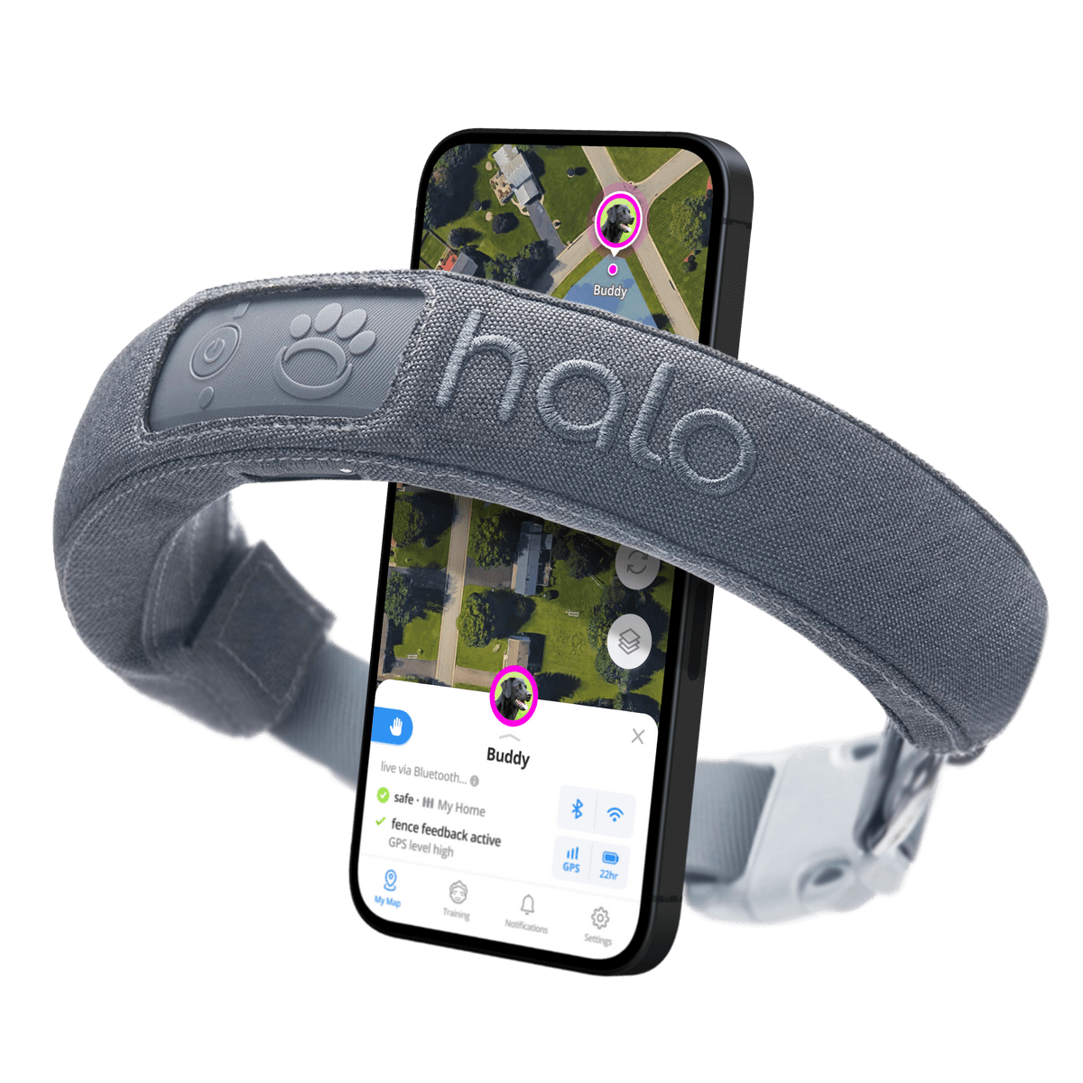 Halo 2+ Dog Collar Review 699 For What? Scam or Worth It?